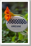 Kräuterschild Kresse